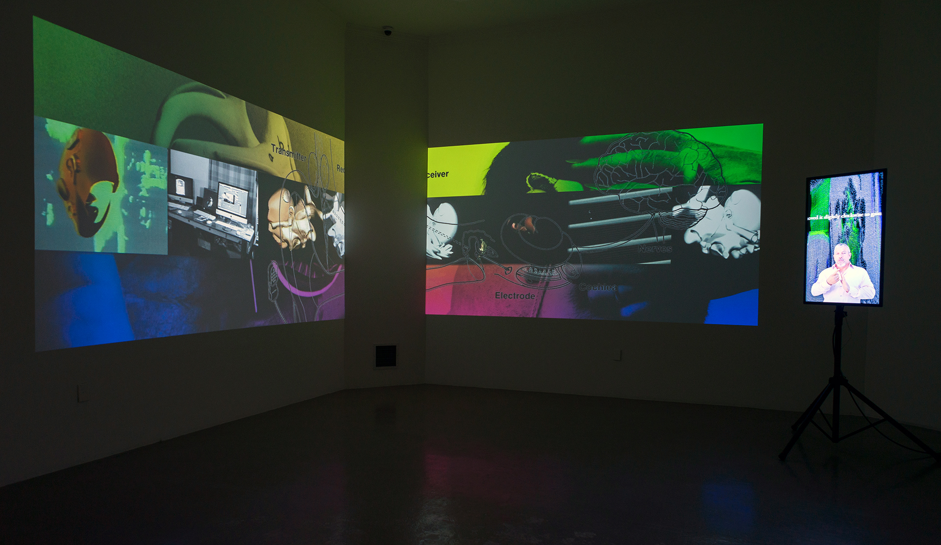 Image from Darrin Martin installation, “Listening in…“